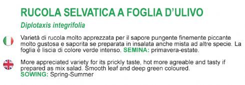 SEMENTI DOTTO RUCOLA SELVATICA BUSTA STANDARD - Linea Verde